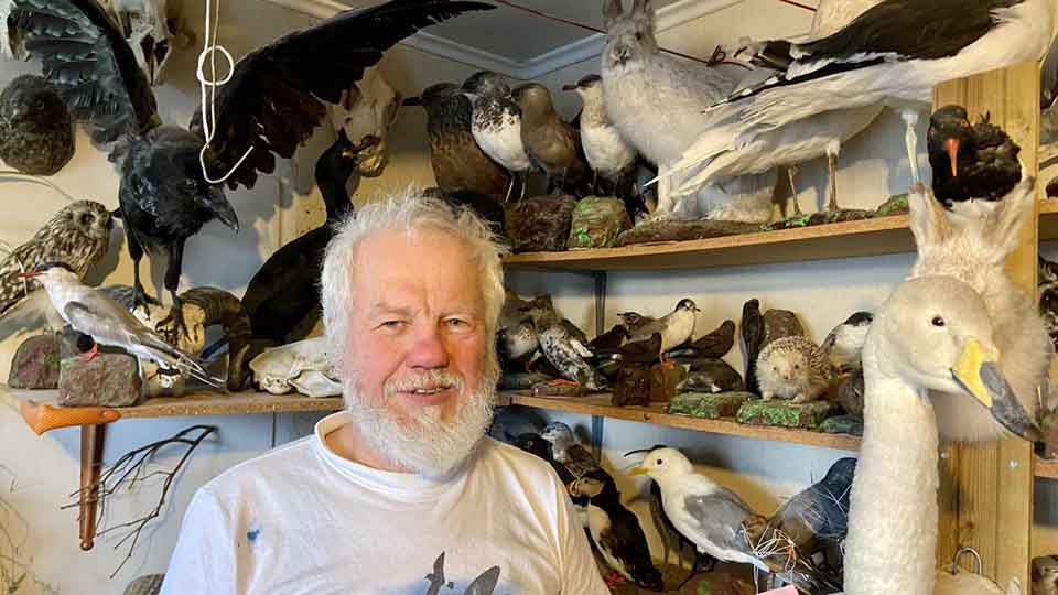 Jens-Kjeld Jensen i sit værksted, hvor han arbejder med at udstoppe fugle