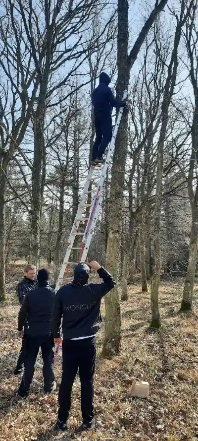 Fuglehuse i Danmark